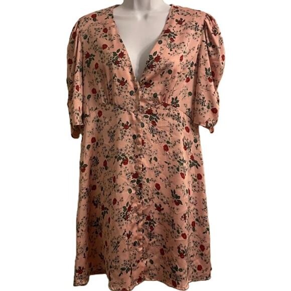 Zara Blush V-Neck Button Front Pink and Rose Floral Button-Front Mini Dress, Med - Picture 1 of 7